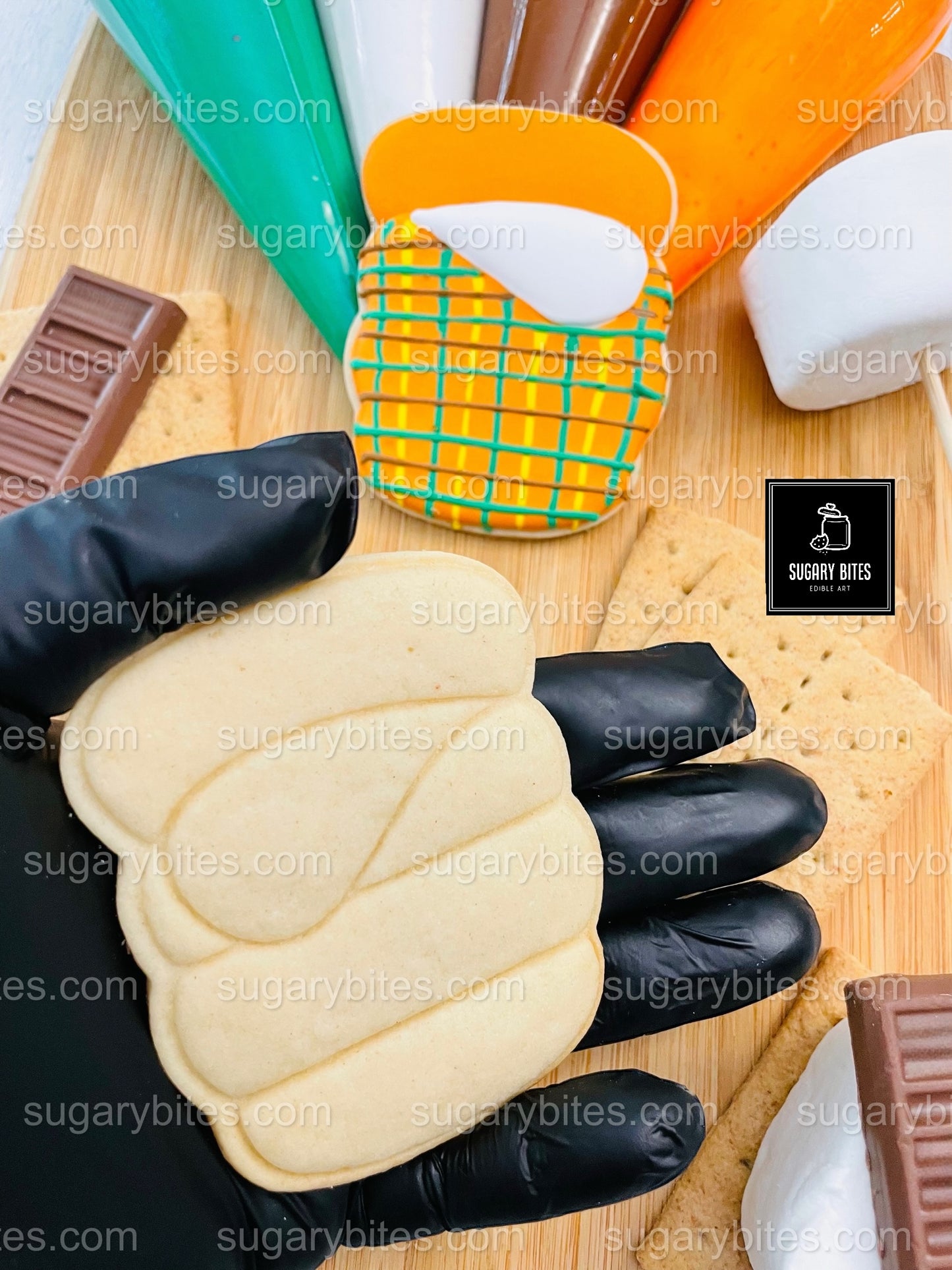 Camping Adventure Cookie Decorating Kit | DIY Cookie Set | Fun Family Activity | S’mores, Campfire, Tent Cookies | Party Favor Gift Box