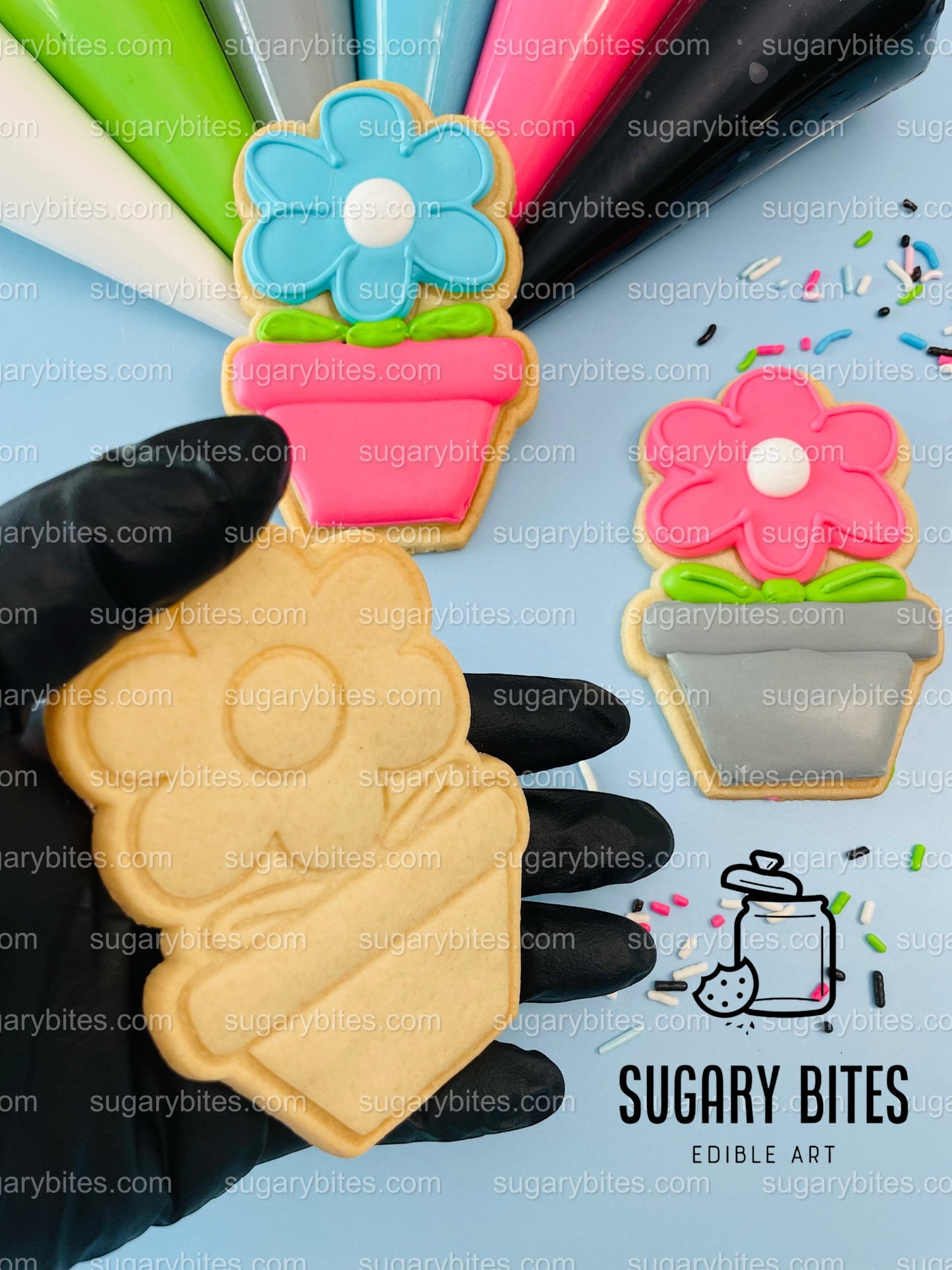 Gardening Cookie Decorating Kit, DIY Spring Sugar Cookie Decorating Kit, **INCLUDES 24 or 26 ITEMS**, (Large Cookies) with Deluxe Sprinkles!