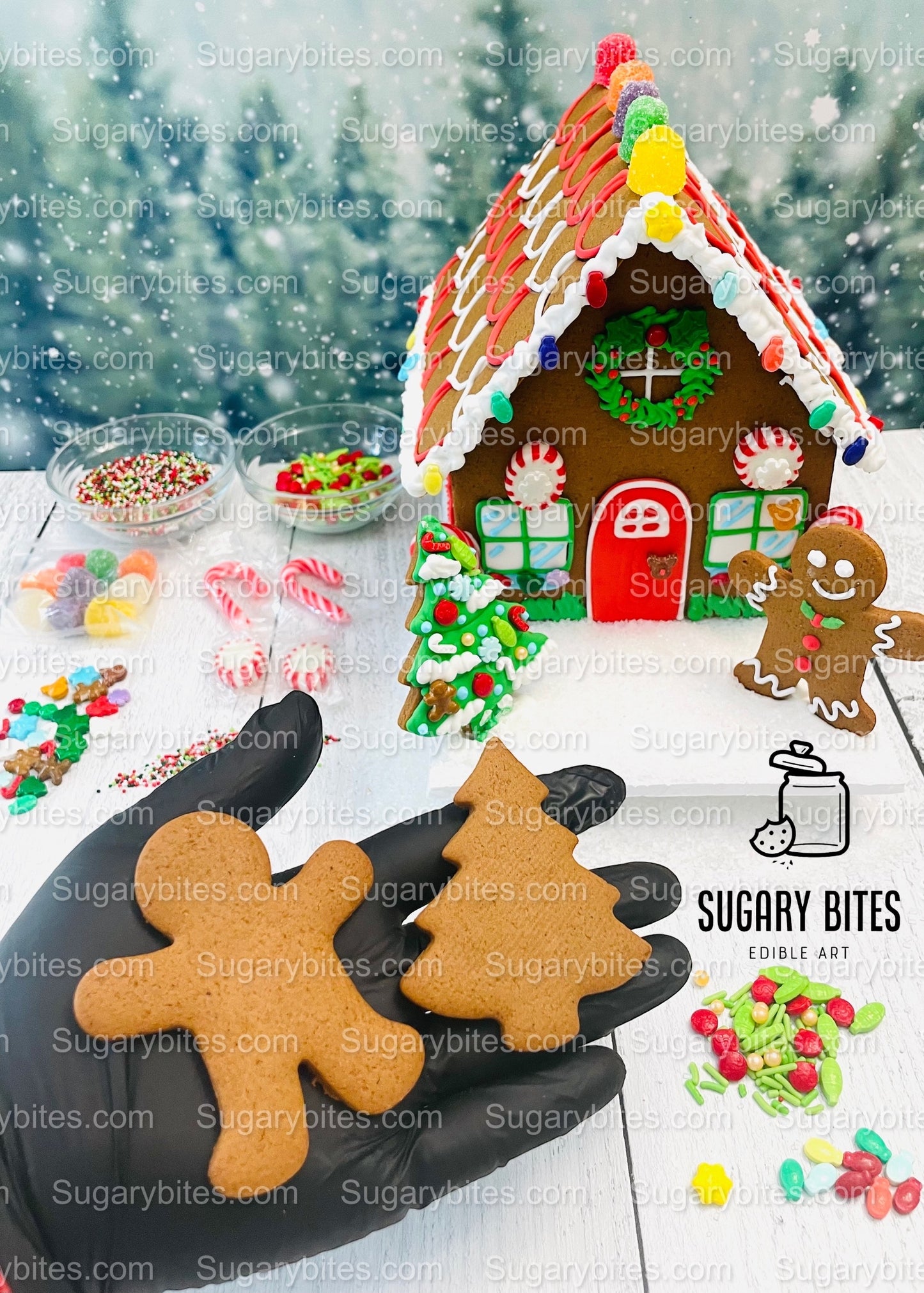 Gingerbread House Cookie Decorating Kit, DIY Cookie Kit, (Large Cookies), ***INCLUDES 24 ITEMS***With 4 Icing Bags & 6 Deluxe Sprinkles