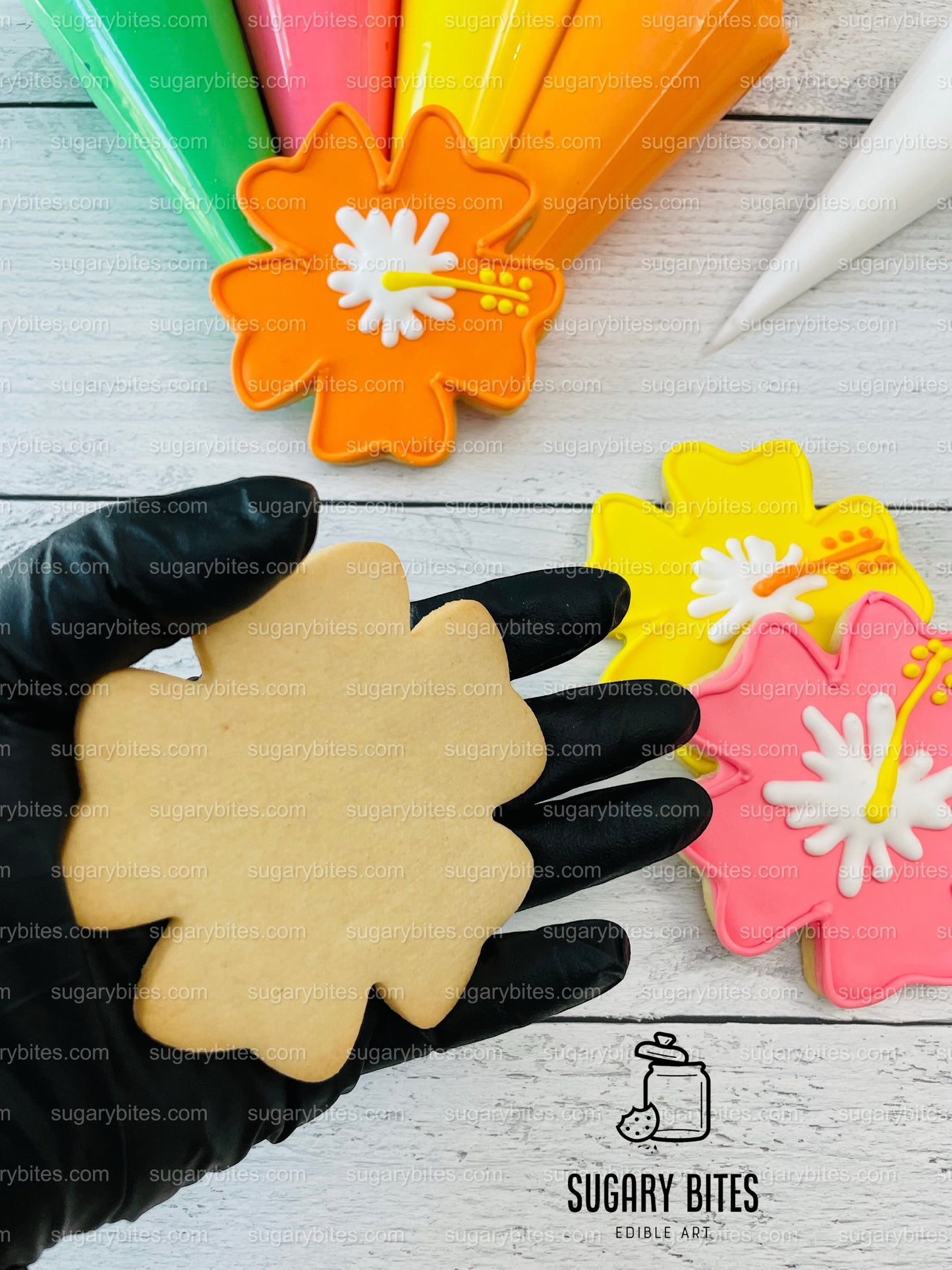 Summer Cookie Decorating Kit, ***INCLUDES 25 ITEMS***** Zoom Party Favors, Assorted Shaped Cookie Kit (Large Cookies) plus Free Bonus!!!