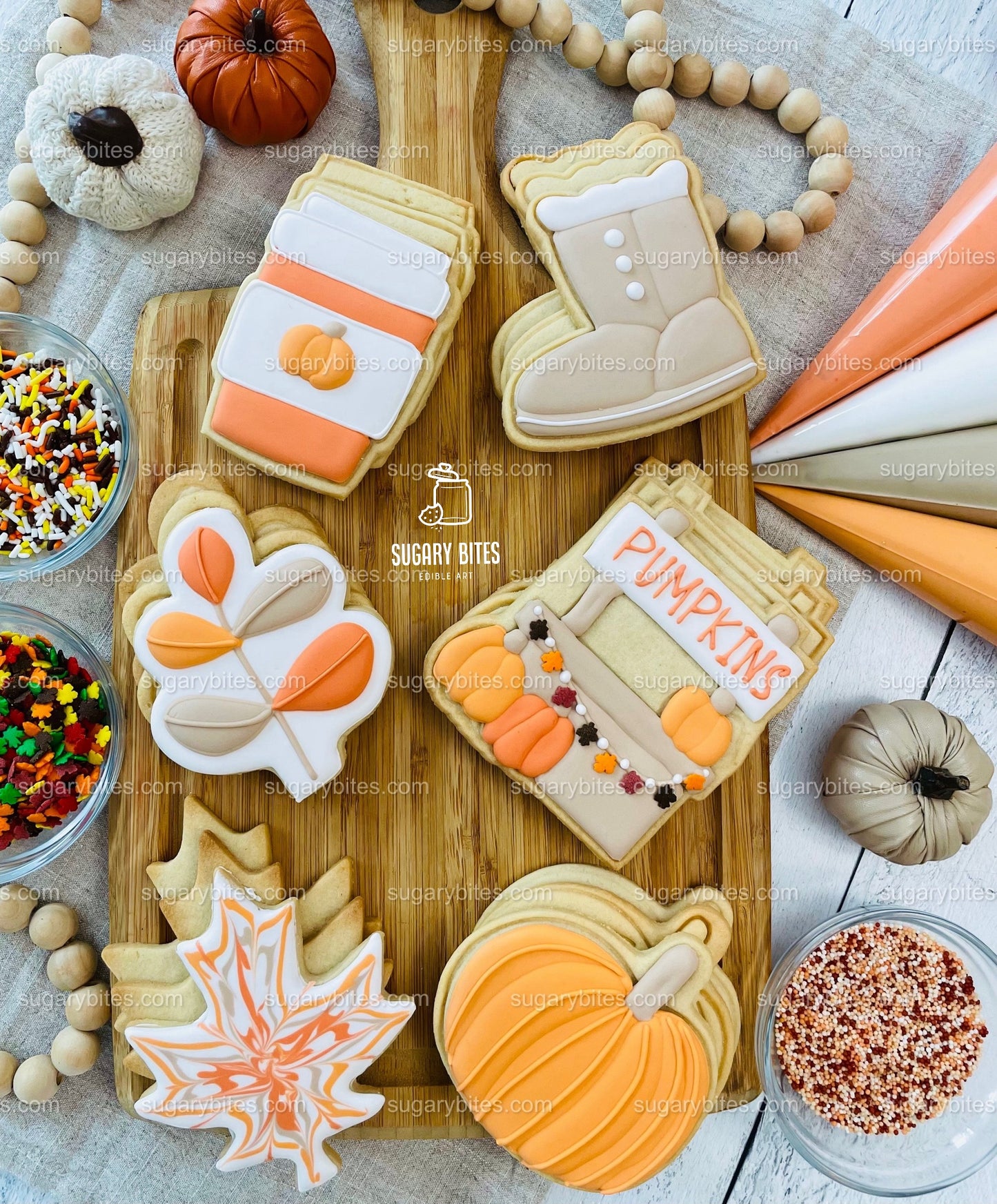 Fall Cookie Decorating Kit, ***INCLUDES 24 ITEMS*** Zoom Party Favors, Assorted Shaped Cookie Kit, (Large Cookies)