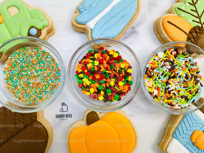 Fall Cookie Decorating Kit, Thanksgiving DIY cookie kit **INCLUDES 24 ITEMS** Zoom Party Favors, Assorted Shaped Cookie Kit, (Large Cookies)