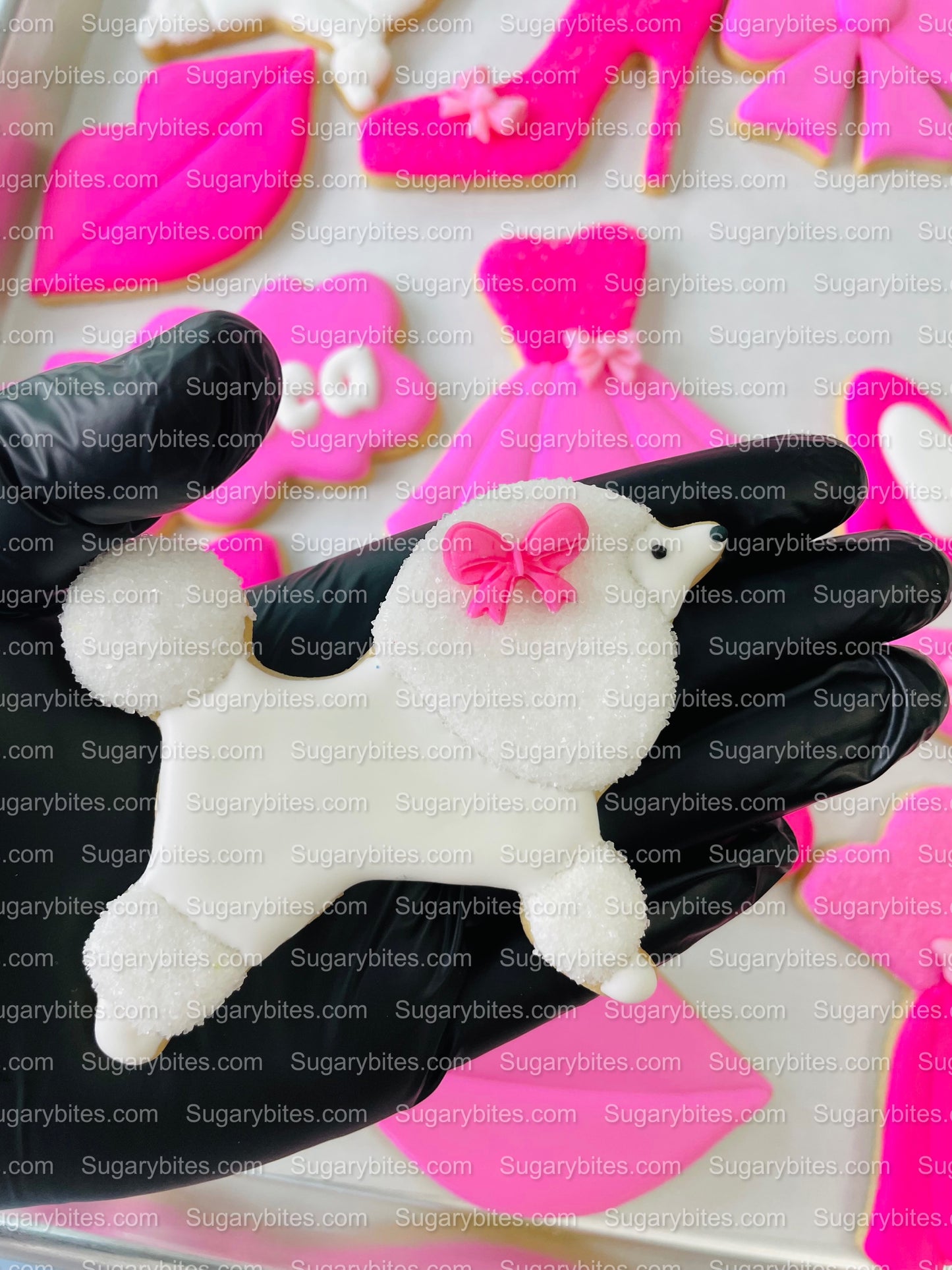 Pink Cookies, Party Favors, (Large Decorated Cookies), includes 14 decorated cookies!