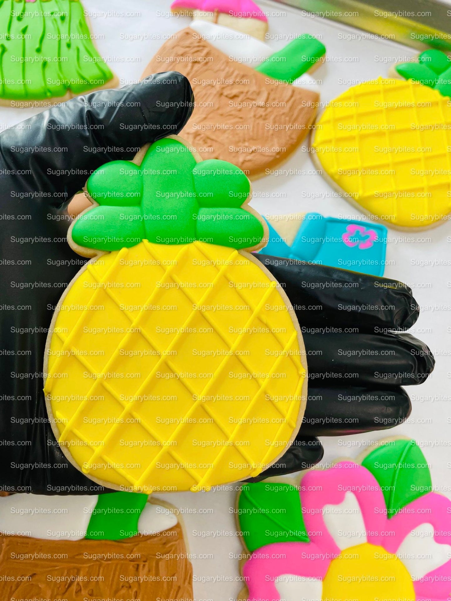 Luau Cookies, Hawaiian Cookies, Tropical Cookies, Includes 12 Large Decorated Cookies!