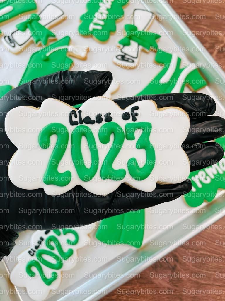 Graduation Cookies, Graduation Party, (Large Cookies), includes 12 decorated cookies!!