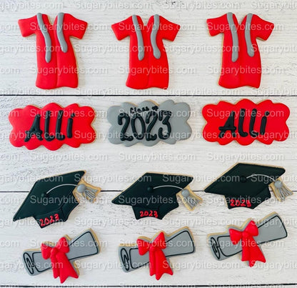 Graduation Cookies, Graduation Party, (Large Cookies), includes 12 decorated cookies!