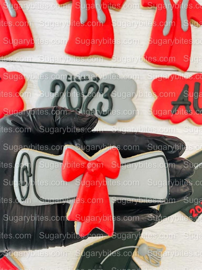 Graduation Cookies, Graduation Party, (Large Cookies), includes 12 decorated cookies!