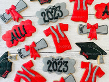 Load image into Gallery viewer, Graduation Cookies, Graduation Party, (Large Cookies), includes 12 decorated cookies!
