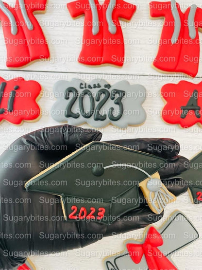Graduation Cookies, Graduation Party, (Large Cookies), includes 12 decorated cookies!