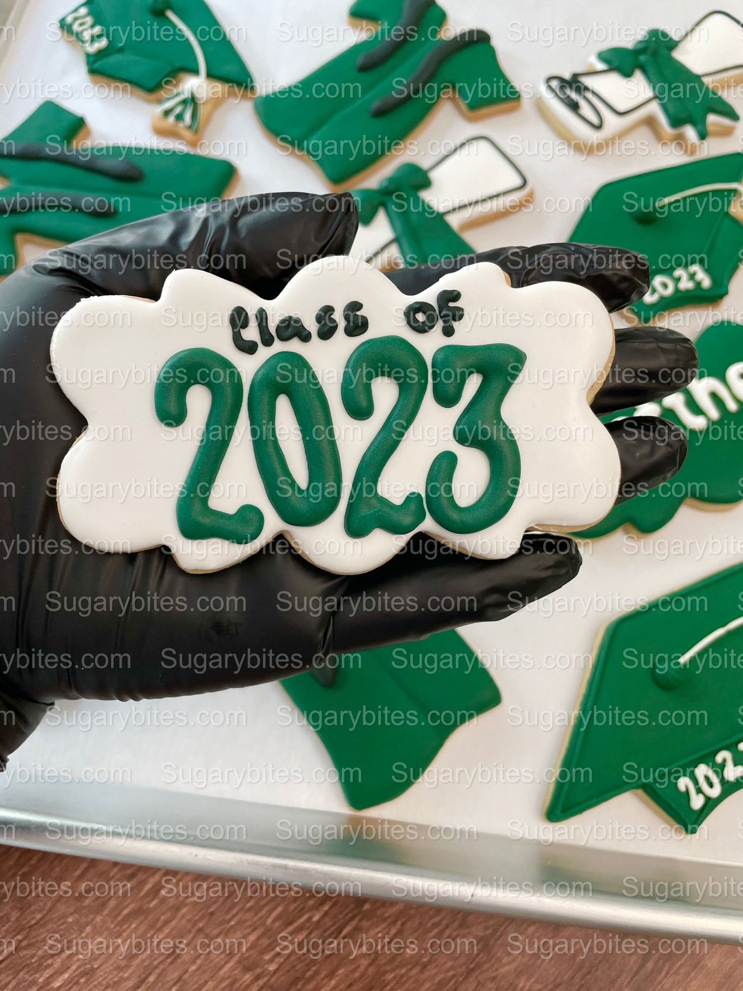 Graduation Cookies, Graduation Party, (Large Cookies), includes 12 decorated cookies!