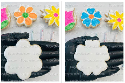 Flower Cookie Coloring Kit with 12 Cookies and 8 Edible Ink Markers, Color your own Flower/Mother’s Day Sugar Cookies Kit!