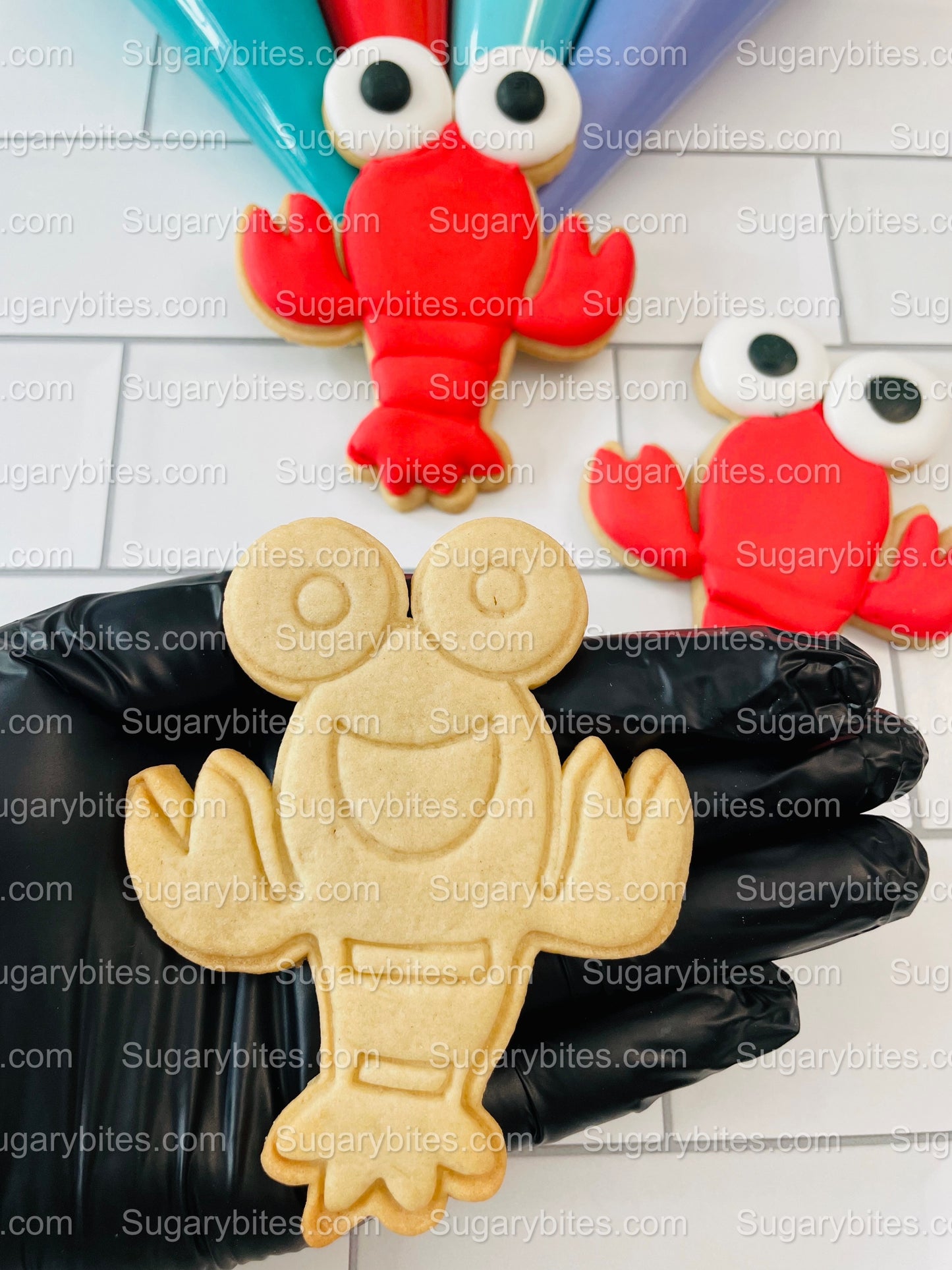Under the Sea Cookie Decorating Kit, *INCLUDES 25 ITEMS* (Large Cookies) …… with 4 ICING bags and 4 Deluxe Sprinkles!