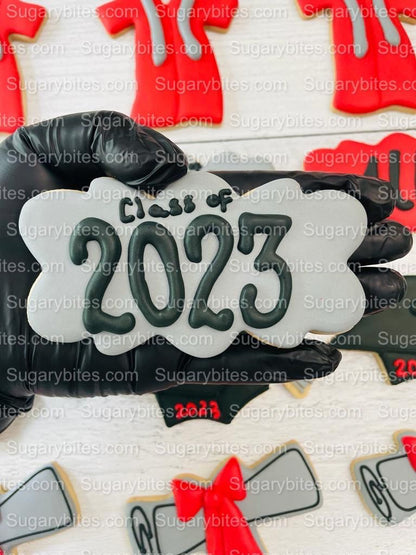 Graduation Cookies, Graduation Party, (Large Cookies), includes 12 decorated cookies!