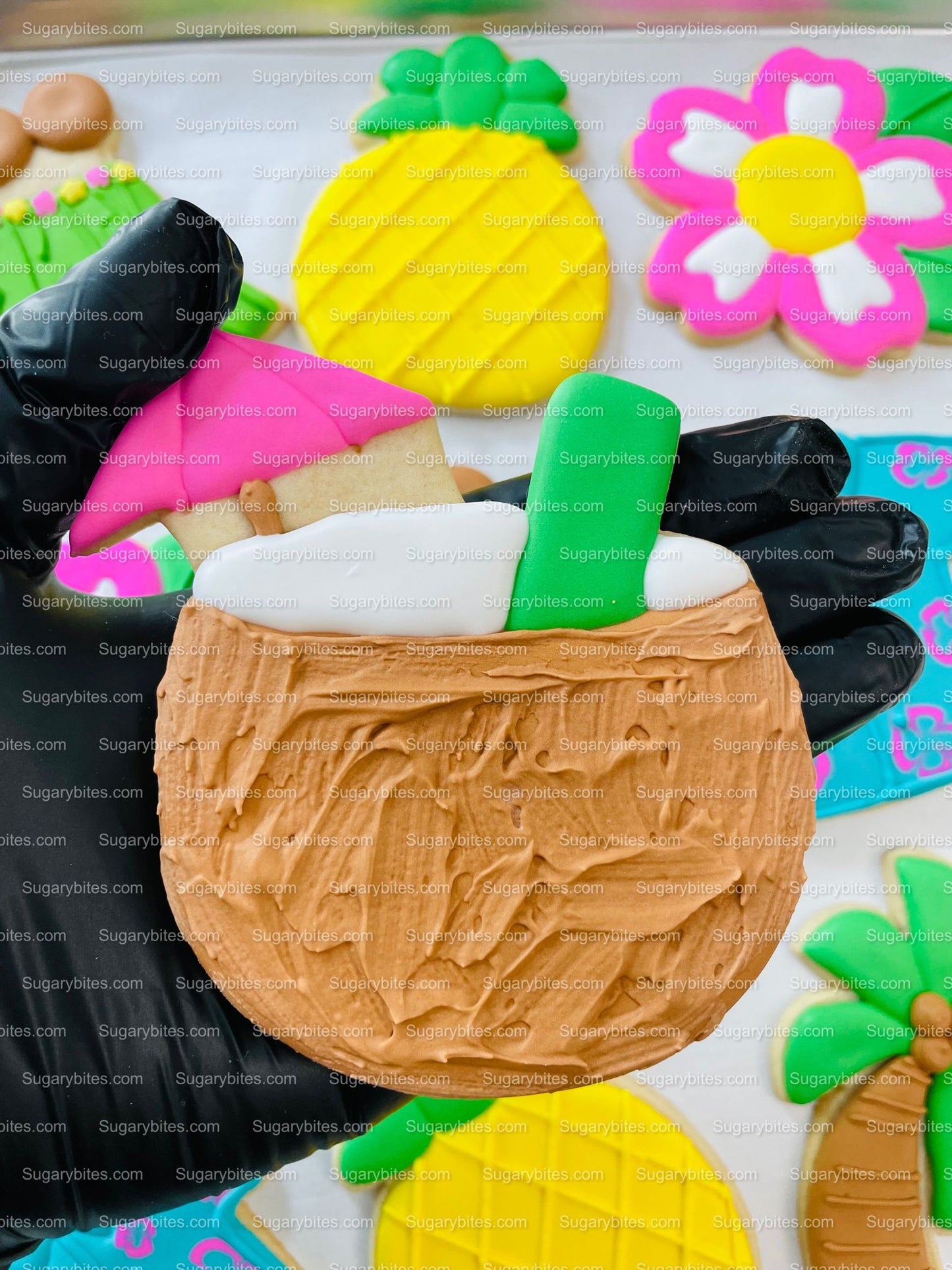 Luau Cookies, Hawaiian Cookies, Tropical Cookies, Includes 12 Large Decorated Cookies!