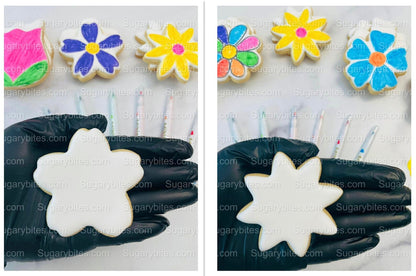Flower Cookie Coloring Kit with 12 Cookies and 8 Edible Ink Markers, Color your own Flower/Mother’s Day Sugar Cookies Kit!