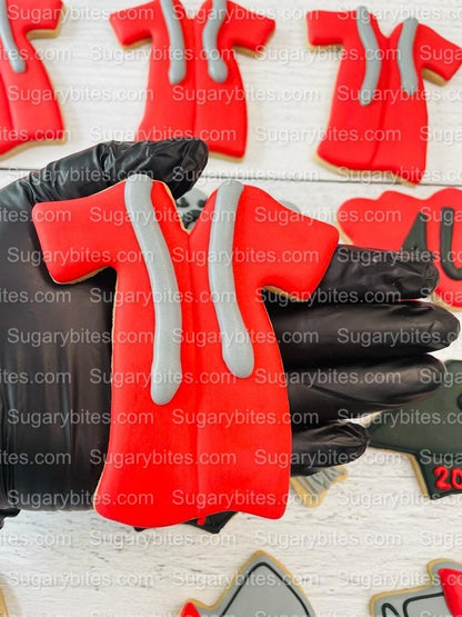 Graduation Cookies, Graduation Party, (Large Cookies), includes 12 decorated cookies!