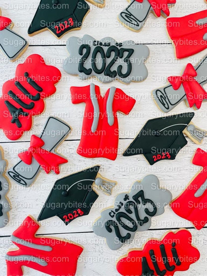 Graduation Cookies, Graduation Party, (Large Cookies), includes 12 decorated cookies!