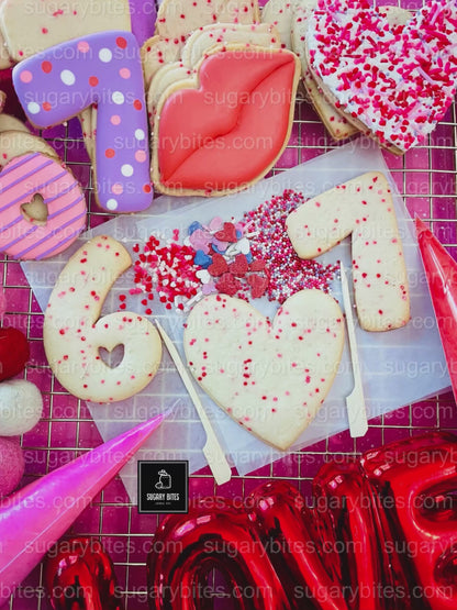 Valentine’s Day Cookie Decorating Kit, DIY Valentine’s Day Cookie Kit, **INCLUDES 24 ITEMS**(Large Cookies), Family Fun Treat,Valentine Gift