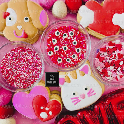 Valentine’s Day Cookie Decorating Kit, DIY Valentine’s Day Cookie Kit, **INCLUDES 24 ITEMS**(Large Cookies), Family Fun Treat,Valentine Gift